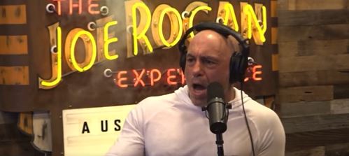 Joe Rogan was left stunned by UFC 293