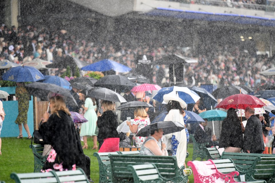 Ascot has been hit with heavy rain this week - forcing a late change on Champions Day