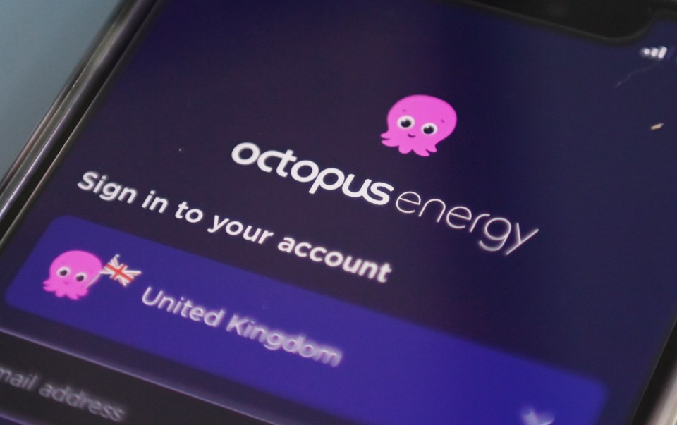 Octopus Energy will begin paying the Warm Home Discount to thousands of customers later this month