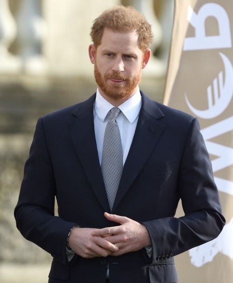 Prince Harry is said to have become a 'lonely figure' in recent years, according to royal author Phil Dampier