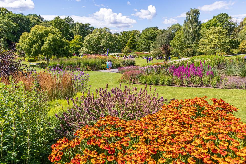 A stroll through the RHS Garden Harlow Carr is a must for anyone visiting