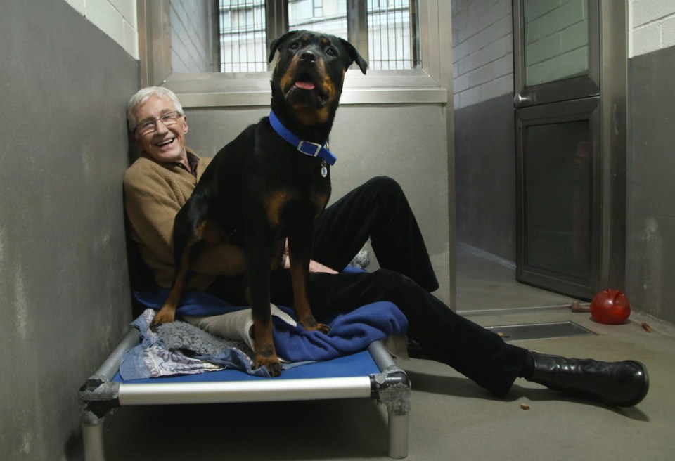 The Sun on Sunday exclusively revealed how ITV bosses are remaking the show set in Battersea Dogs and Cats Home in South London