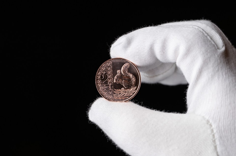 The new 2p coin features a red squirrel