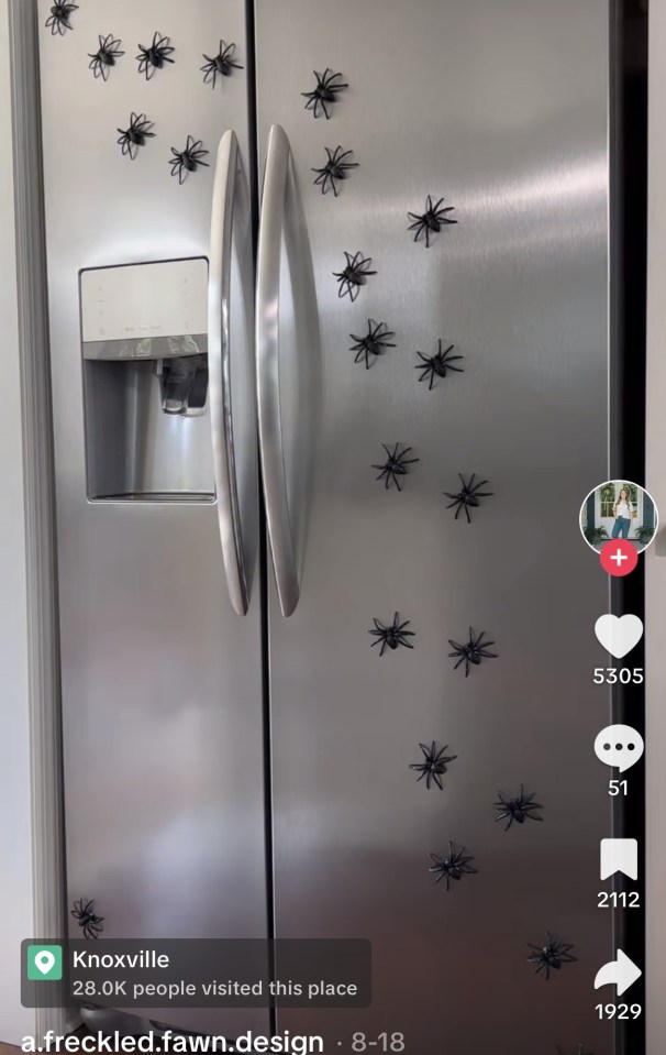 Spider decorated fridge. Credit: TikTok/@a.freckled.fawn.design