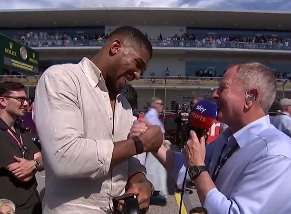 Brundle finally got to talk to his man