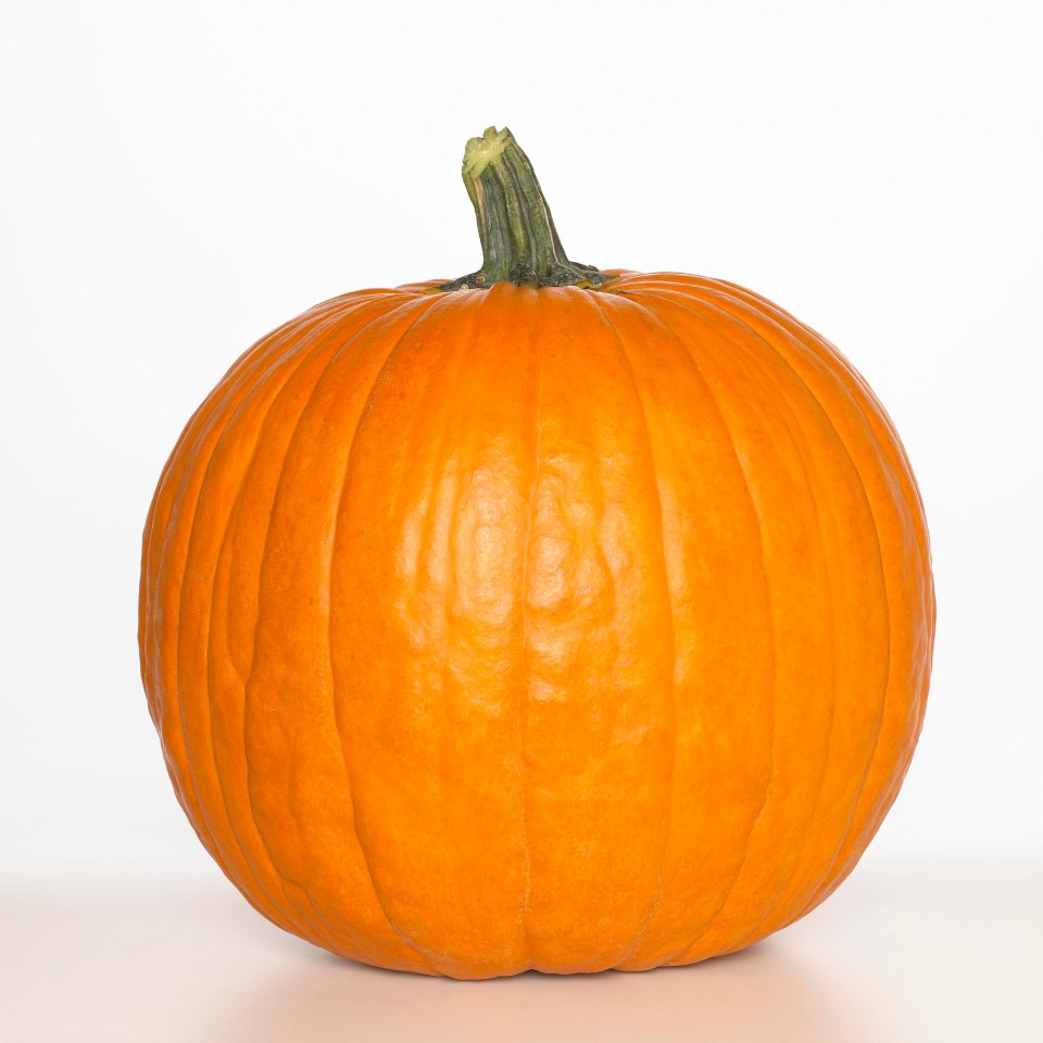 Large Tesco pumpkin