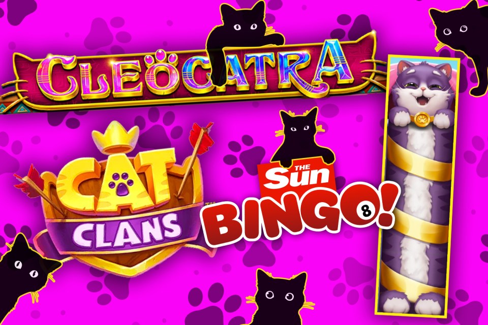 the sun bingo logo is on a purple background