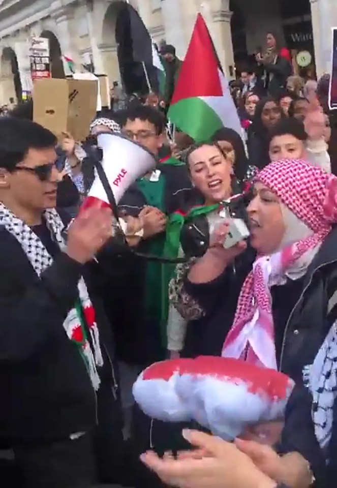 Anger has erupted over a woman seen with a blood-soaked effigy of a dead baby at a London demo