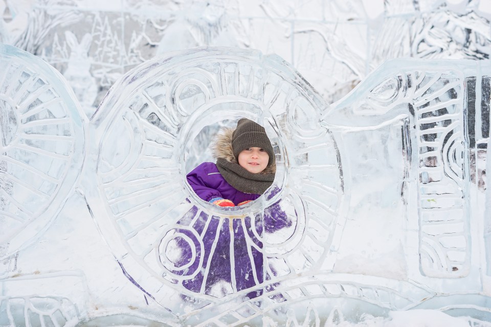 Visitors can meet polar bears and penguins on an interactive ice trail