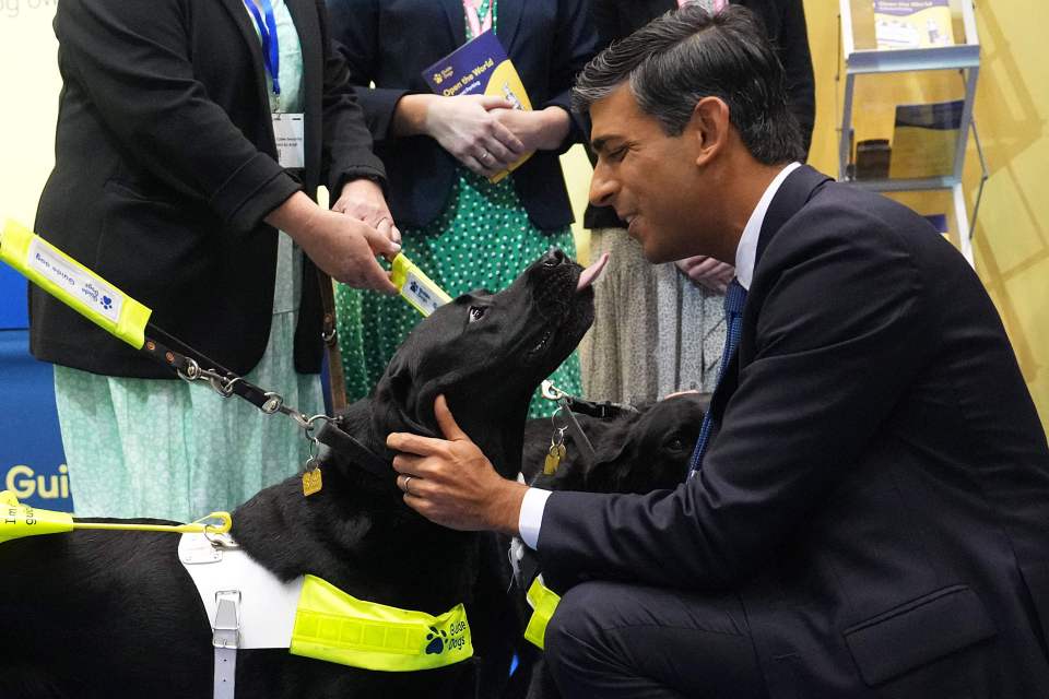 Rishi Sunak greets a guide dog in the Exhibitor’s Hall on day three of the Conservative Party Conference in Manchester