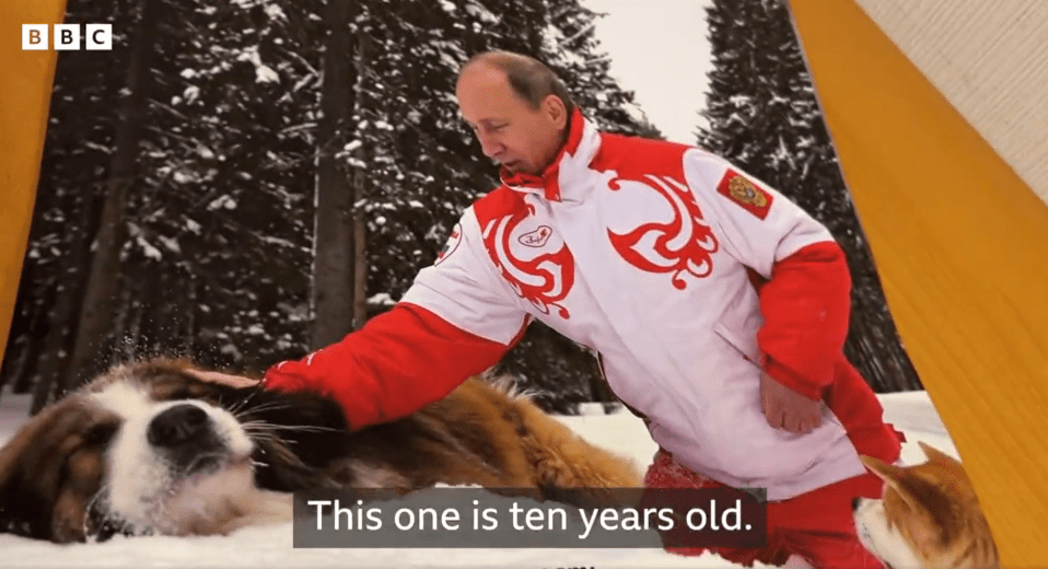 One of the images, Putin petting his dog in the snow, was ten years old