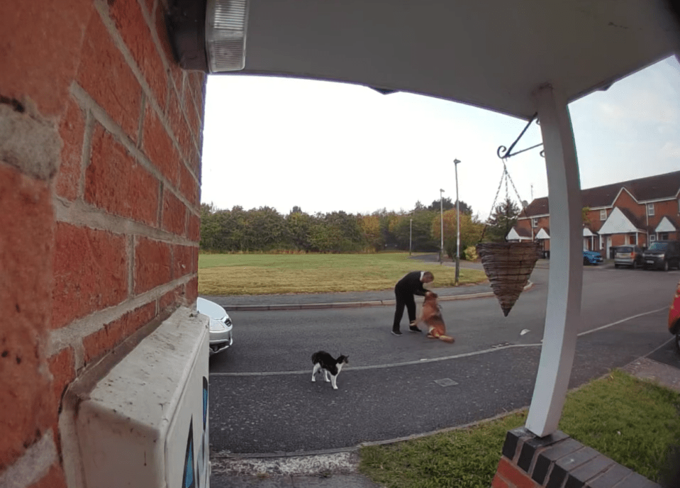 The dog owner can be seen roughly handling his Alsatian as Lenny watches on