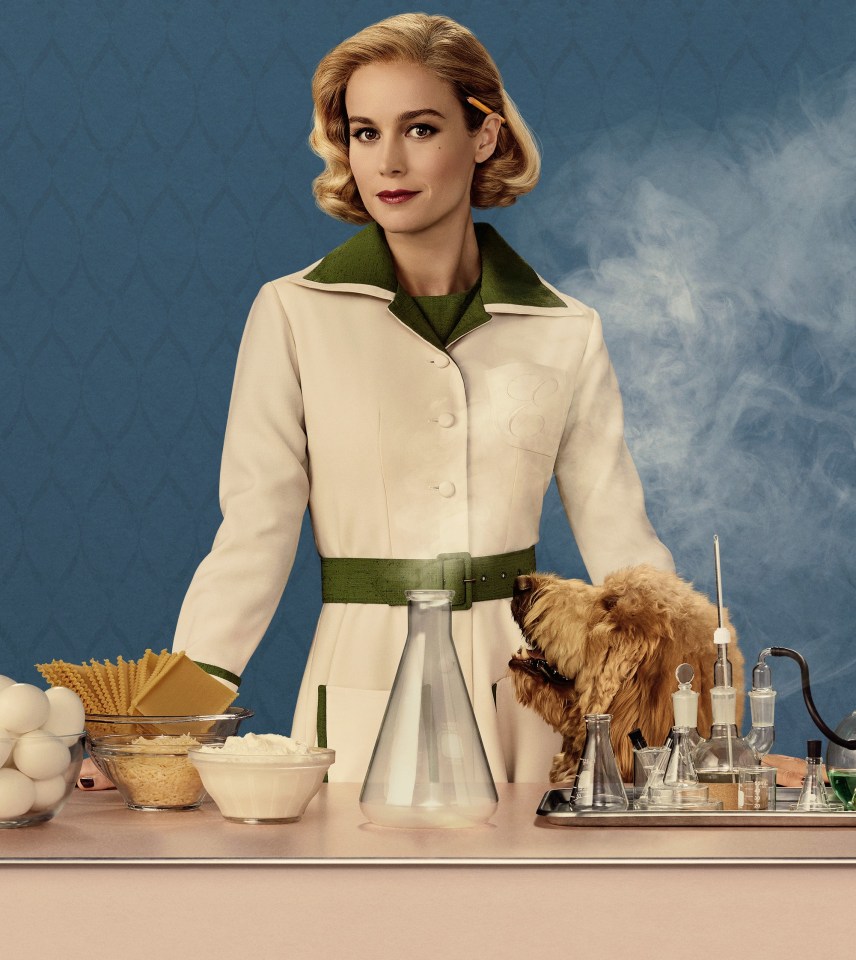 Brie Larson is starring in Lessons In Chemistry, a story that follows a female scientist who becomes a famous TV chef, using chemistry to teach the masses how to cook