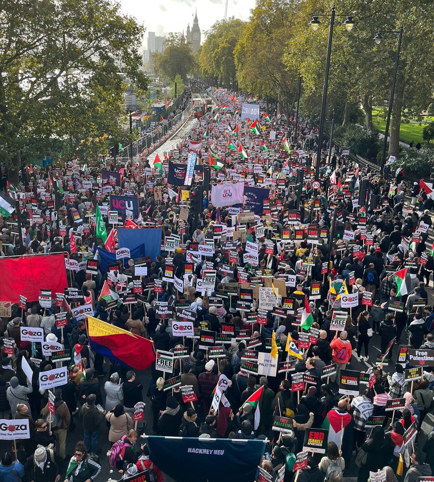 A pro Palestine protest saw huge numbers march along London's Embankment