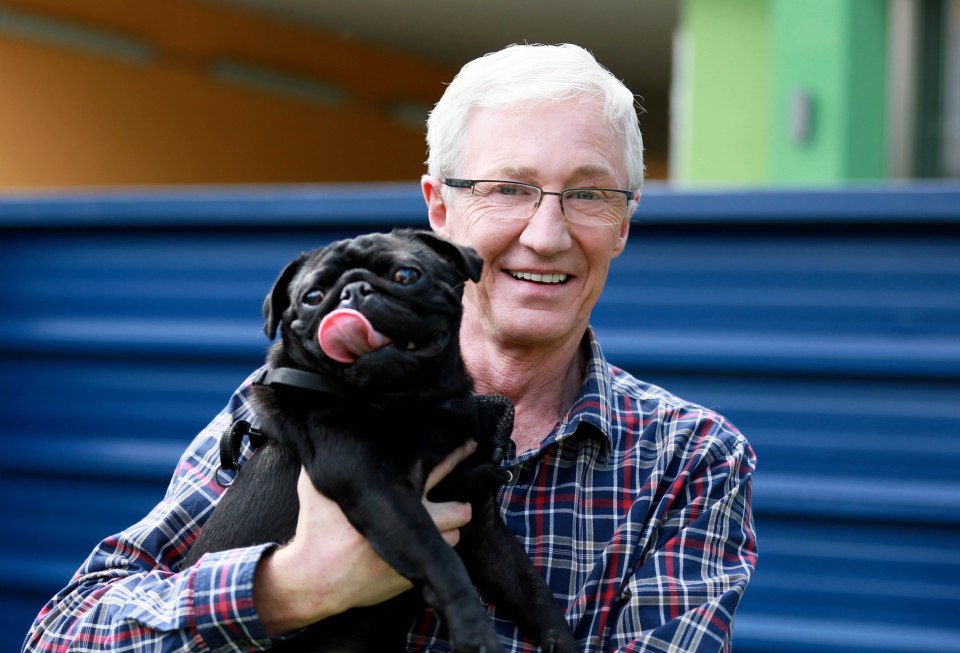 ITV is remaking Paul O’Grady’s For the Love of Dogs with a new A-lister presenter