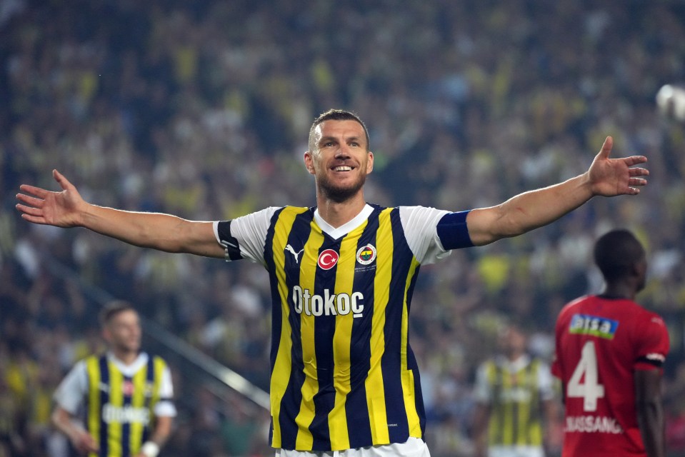 Edin Dzeko leads the line for Fenerbahce