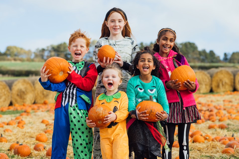 We reveal six of the best pumpkin patches across the UK