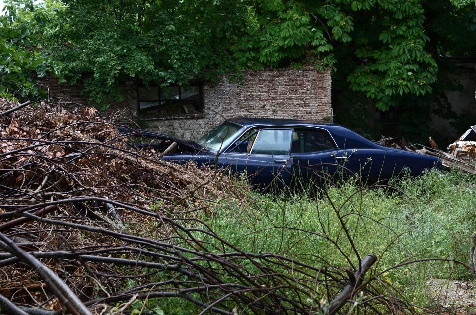 A car lies abandoned in the once-thriving royal estate