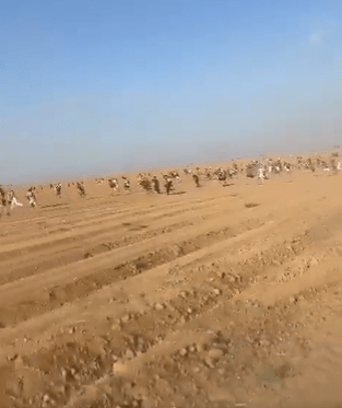 Terrified festival-goers fleeing the festival in Sukkot, southern Israel