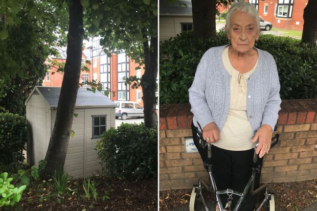 A gran has been told to take down her plastic shed