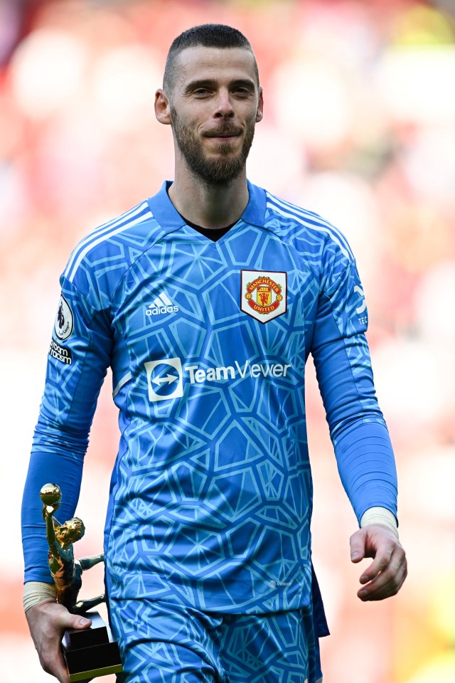 David de Gea has returned to Manchester