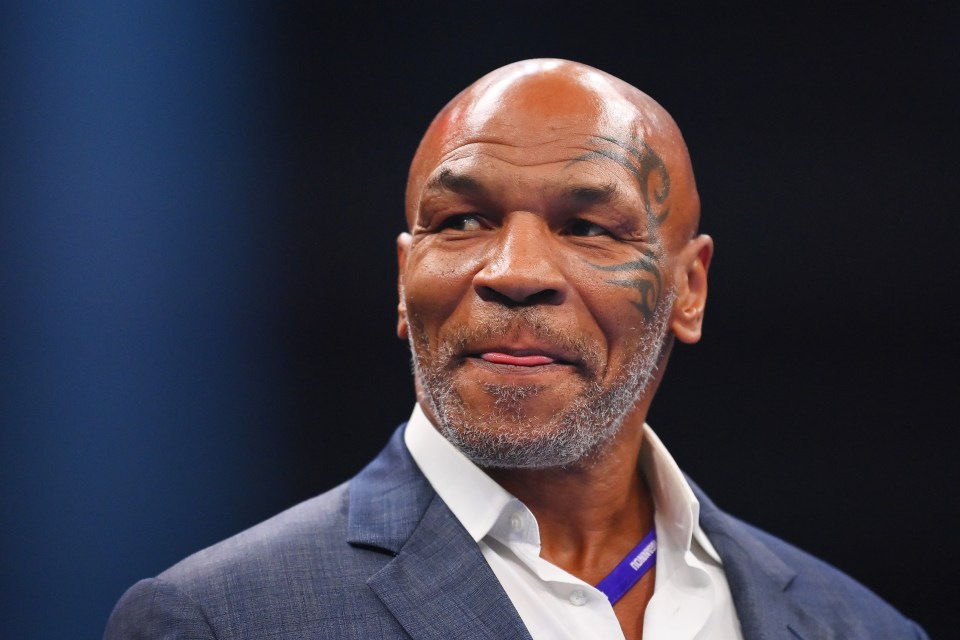 Mike Tyson told the MMA legend to try the punch