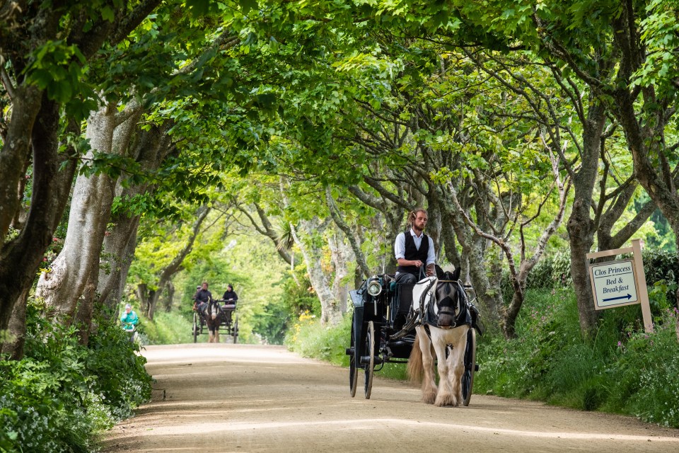 There are no cars – so you will need a bike, tractor or horse-drawn carriage