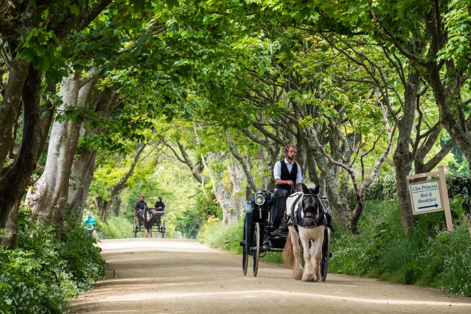 There are no cars - so you will need a bike, tractor or horse-drawn carriage