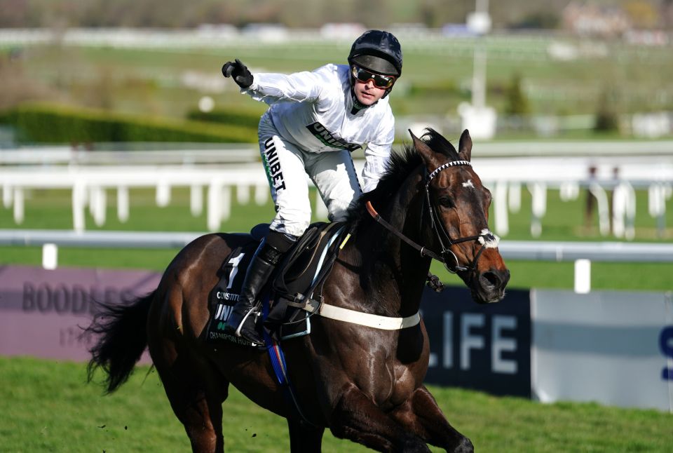 Constitution Hill romped to success in last year's Champion Hurdle