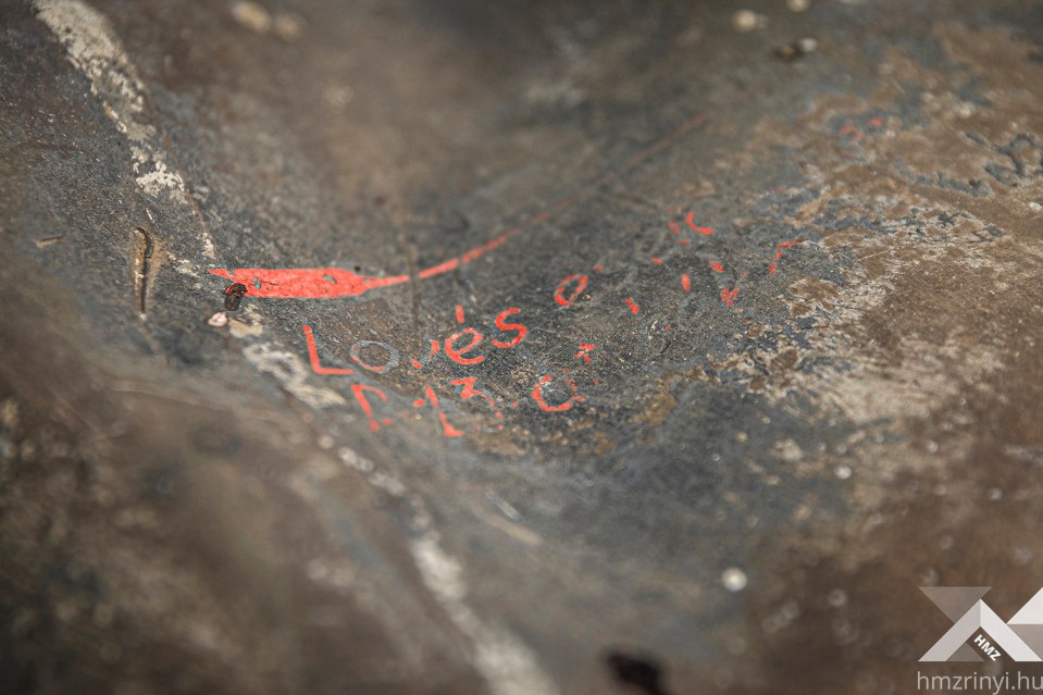 Words can still be seen etched into the plane’s foliage