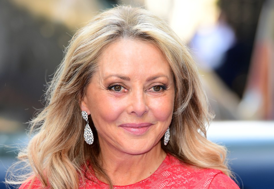 Carol Vorderman has backed the campaign