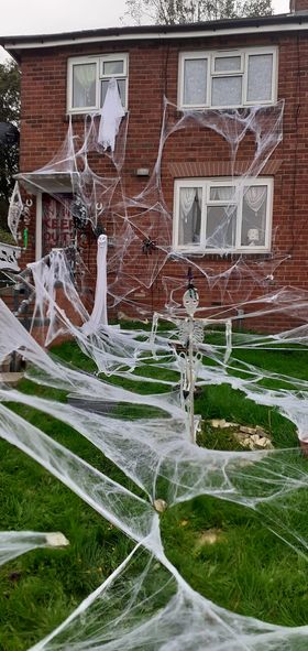 Many thought the spider webs would be extremely dangerous to wildlife