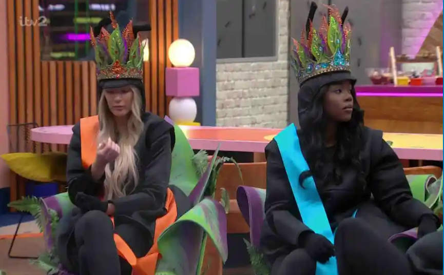 Big Brother was divided into two teams last night with Chanelle and Noky given the role of queen ants