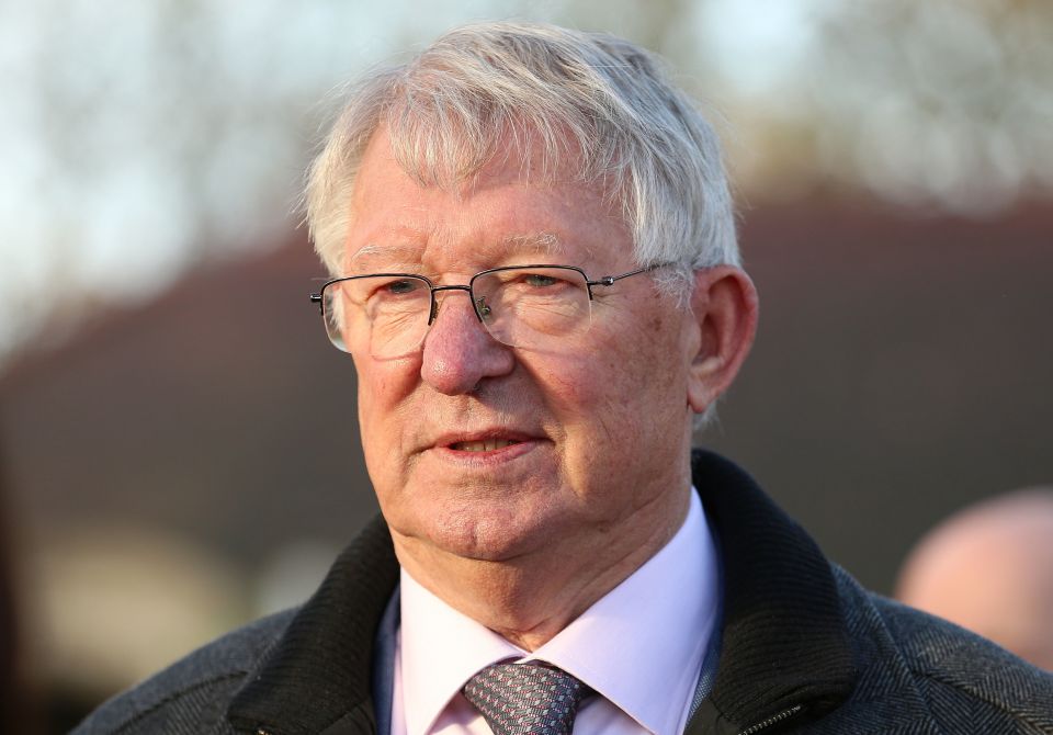 Sir Alex could be cheering another Protektorat victory in the Betfair Chase