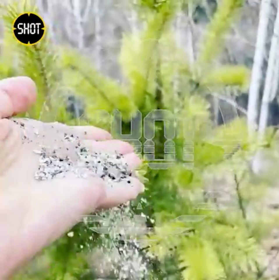 The parents scattered Mana's ashes on a mountain