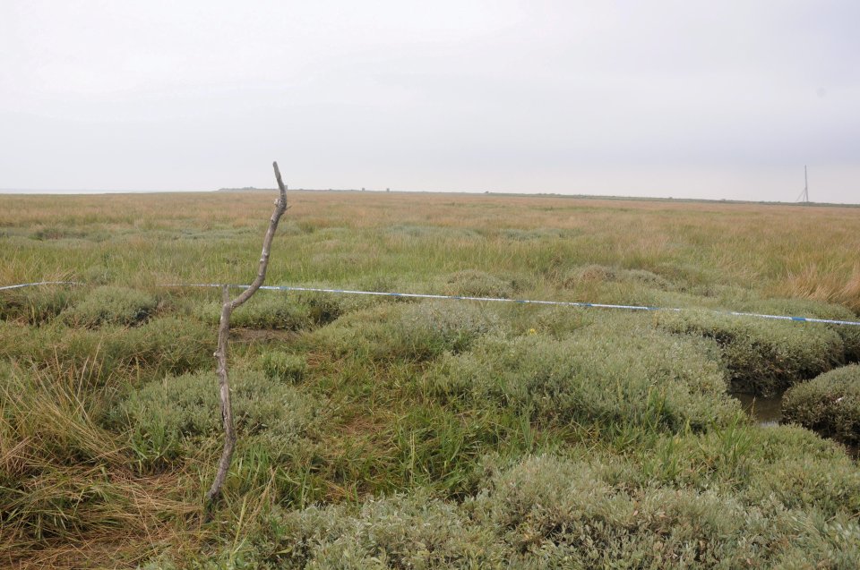 Angela's body washed up on Foulness Island