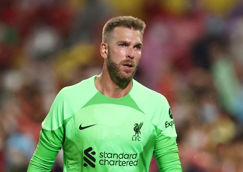 Adrian has cost Liverpool almost £1million this season