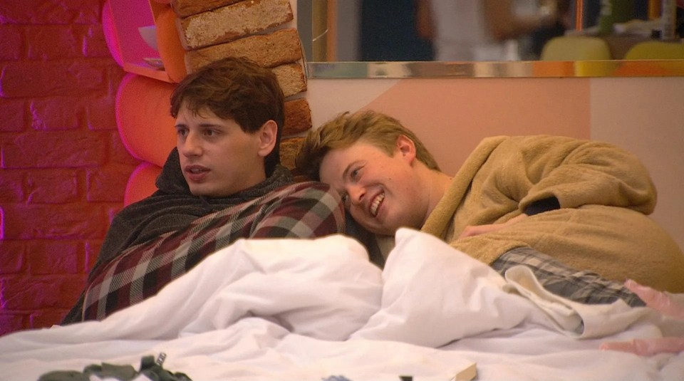 Big Brother fans have watched Jordan and food critic Henry grow close since entering the TV abode nearly four weeks ago