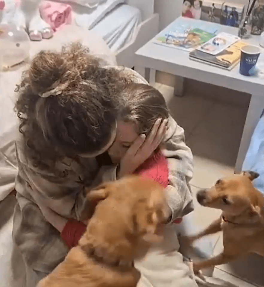 Emily is hugged by half-sister Natali and surrounded by her two dogs as they reunite