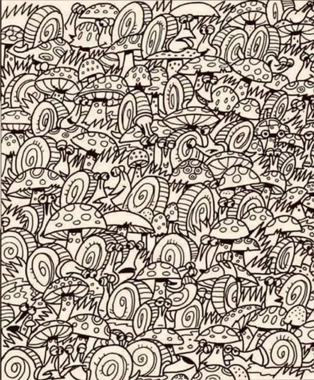 Can you spot the car hidden among the snails within 20 seconds?