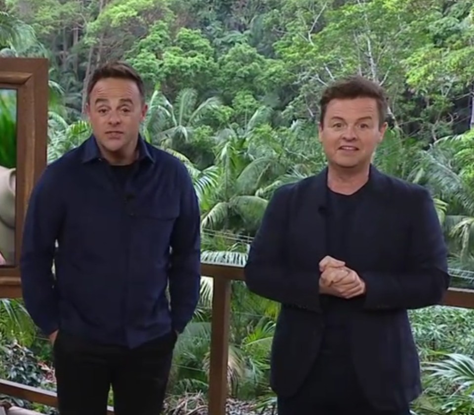 Ant and Dec returned tonight