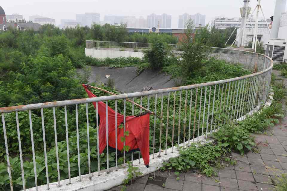 Some of the venues are starting to be swallowed up by greenery