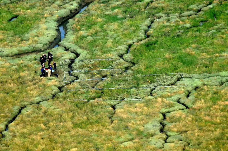 Her remains were found scattered across the marshland