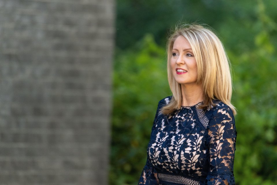 Esther McVey has made a shock return to the Cabinet as Sunak's anti-woke tsar