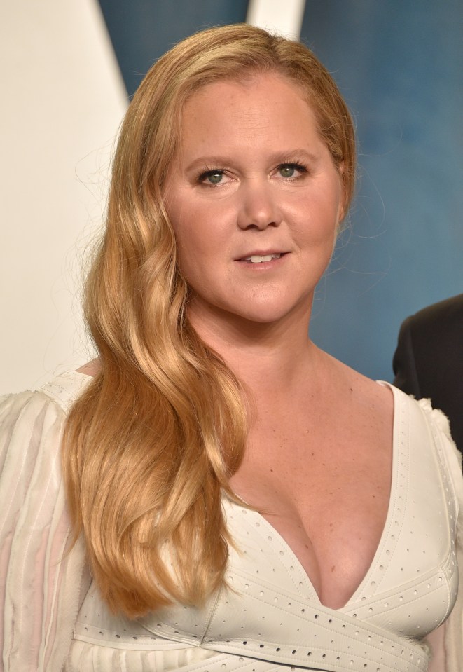 Amy Schumer was also present on the call set up by TikTok bosses to discuss concerns of anti-Semitism