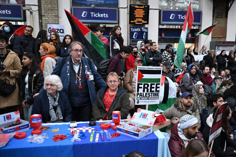 Three bewildered poppy sellers surrounded by hordes of pro-Palestine protesters in Charing Cross Station earlier this week