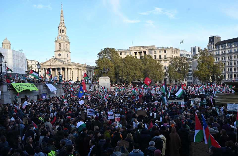 PM Rishi Sunak has dubbed the protests 'provocative and disrespectful', especially on Armistice Day