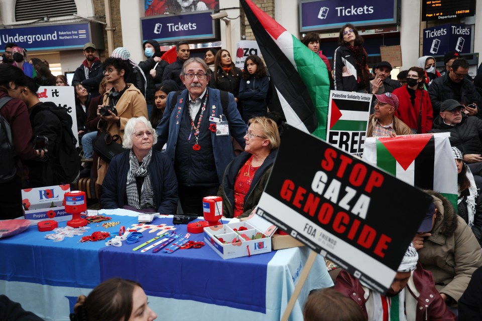 A poppy vendor counter is disturbed by a pro-Palestinian demonstrating during a sit-in at Charing Cross