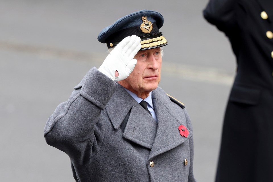 King Charles was sombre as he saluted by the Cenotaph