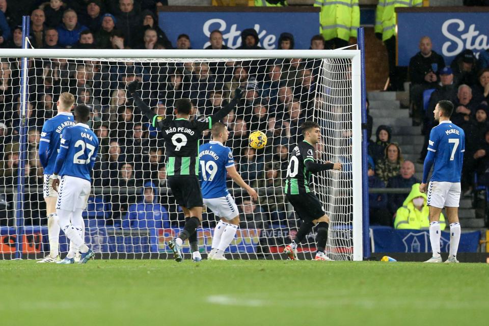 Brighton picked up a late equaliser thanks to Young's own-goal